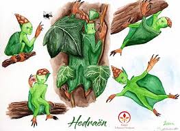 Kinore - Royaume flamboyant