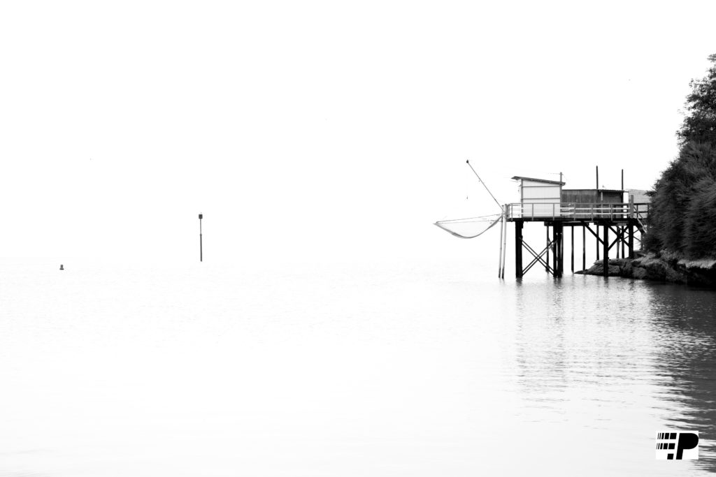Patrick Frère
– Photographe