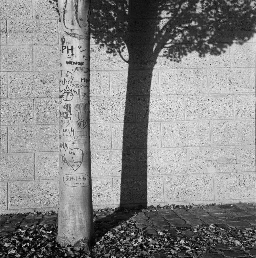Emmanuel Combeau
– Photographe