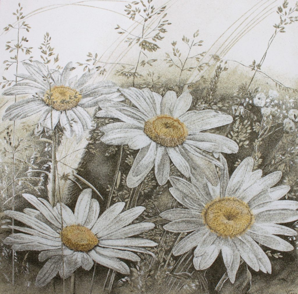 Eva Visna
– Peintre